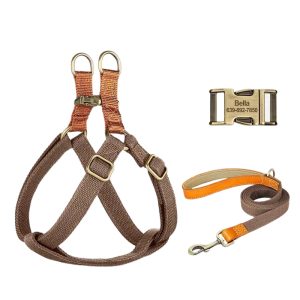 Customized-pet-collar-and-leash