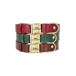 Customized pet dog collar