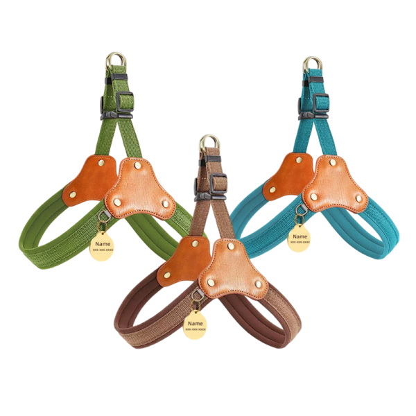 Dog-leash-tag,-engraved-and-customized Customized pet dog harness