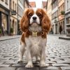 Customized pet leather dog collar
