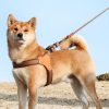 0260422015842_465_22 Customized pet dog harness