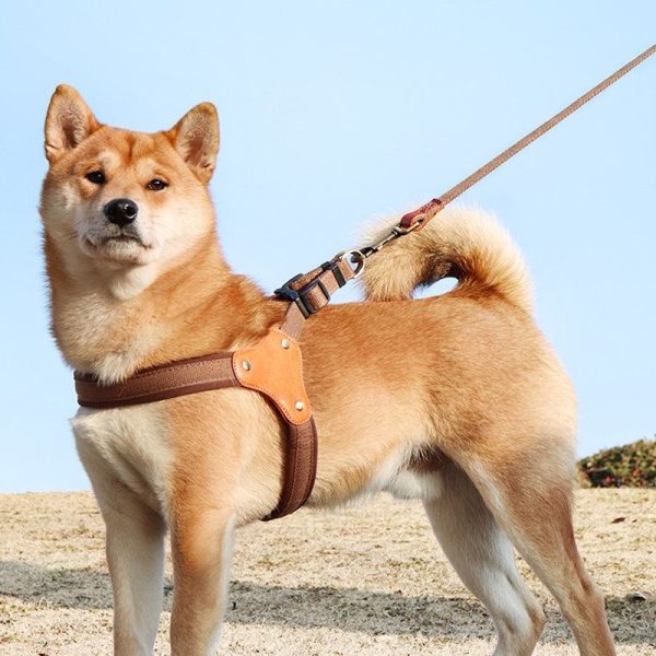 0260422015842_465_22 Customized pet dog harness